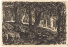 L'arbre aux racines (Tree with Roots), published 1849. Creator: Eugene Blery