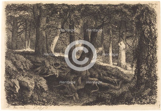 L'arbre aux racines (Tree with Roots), published 1849. Creator: Eugene Blery.