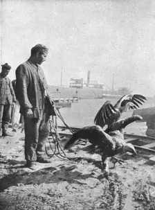L'expedition des Dardanelles, Heures D'Accalmie..., 1915 (1924). Creator: Unknown