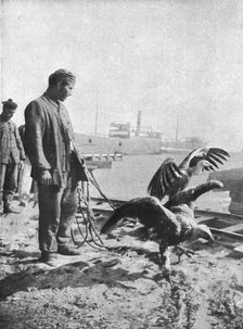 L'expedition des Dardanelles, Heures D'Accalmie..., 1915 (1924). Creator: Unknown