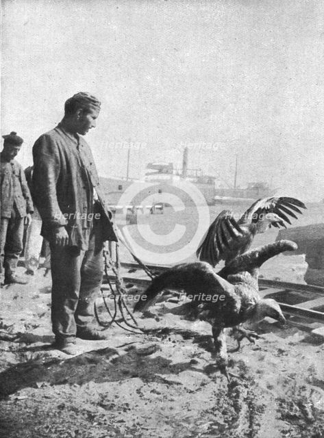 'L'expedition des Dardanelles, Heures D'Accalmie..., 1915 (1924). Creator: Unknown.
