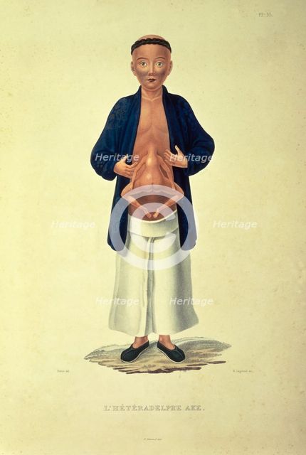 L'heteradelphe Ake, c1824-c1826. Creator: H Legrand.