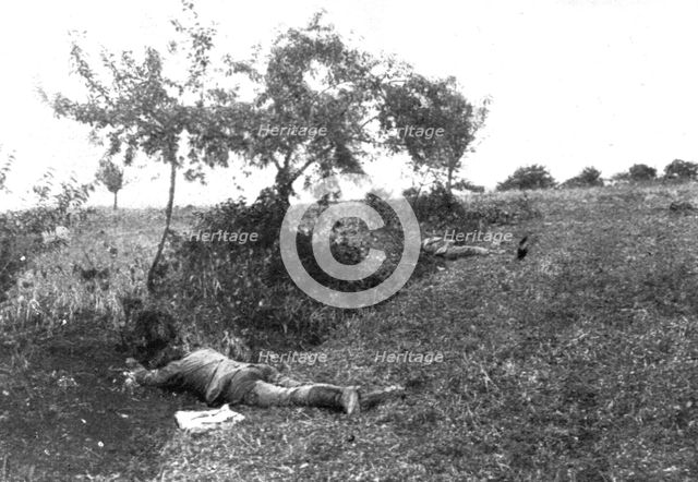 'L'immense champ de Bataille; Entre Meaux et Vareddes, des soldats allemands tombes', 1914. Creator: Unknown.