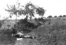 L'immense champ de Bataille; Entre Meaux et Vareddes, des soldats allemands tombes 1914. Creator: Unknown