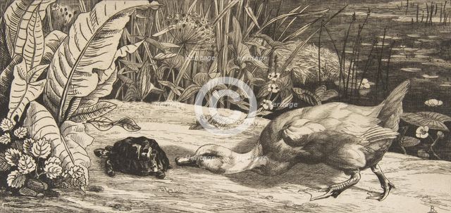 L'Inconnu, 1862. Creator: Felix Bracquemond.