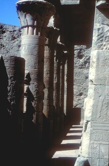 Lotus capitals, Temple of Horus, Edfu, Egypt, Ptolemaic Period, c251 BC-c246 BC