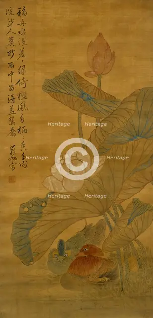 Lotus and ducks, Qing Dynasty (1645 - 1911). Creator: Watanabe Shiko.