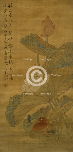Lotus and ducks, Qing Dynasty (1645 - 1911). Creator: Watanabe Shiko.