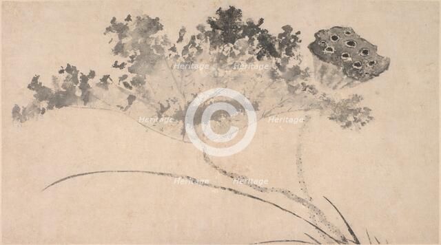 Lotus Flower and Pod, c16th century. Creator: Unknown.