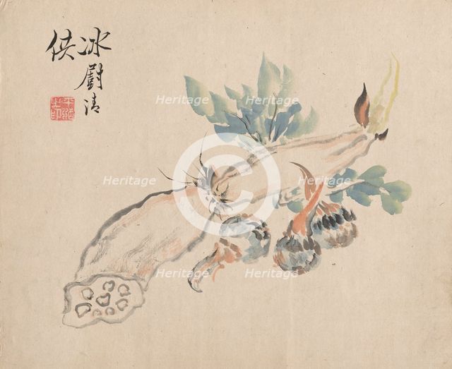 Lotus Root and Adder's Tongue. Creator: Tsubaki Chinzan (Japanese, 1801-1854).