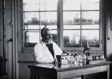 Louis Gustave Chauveaud. Creator: Unknown