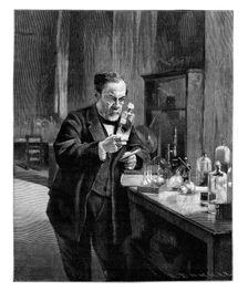 Louis Pasteur, 19th century French microbiologist and chemist, (1900)