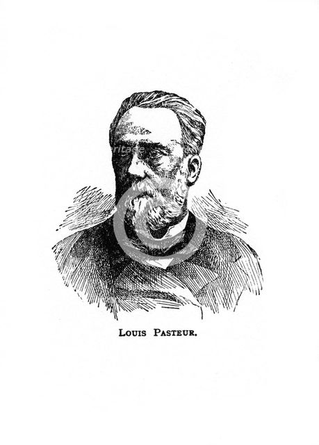 Louis Pasteur, 19th century French microbiologist and chemist, (20th century). Artist: Unknown