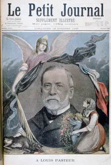 Louis Pasteur, French chemist, 1895. Artist: Henri Meyer