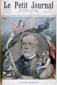 Louis Pasteur, French chemist, 1895. Artist: Henri Meyer