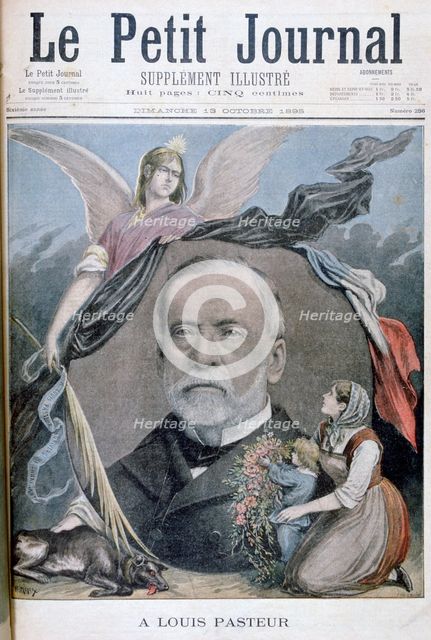 Louis Pasteur, French chemist, 1895. Artist: Henri Meyer