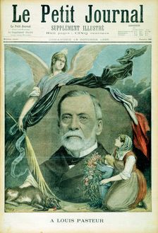 Louis Pasteur, French chemist, 1895. Creator: Unknown
