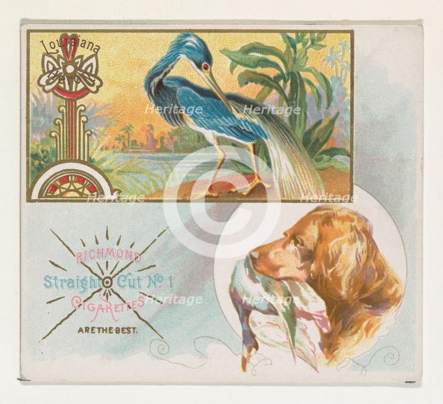 Louisiana Heron, from the Game Birds series (N40) for Allen & Ginter Cigarettes, 1888-90. Creator: Allen & Ginter.