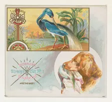 Louisiana Heron, from the Game Birds series (N40) for Allen & Ginter Cigarettes, 1888-90. Creator: Allen & Ginter