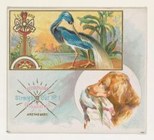 Louisiana Heron, from the Game Birds series (N40) for Allen & Ginter Cigarettes, 1888-90. Creator: Allen & Ginter