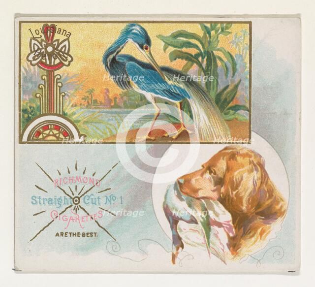 Louisiana Heron, from the Game Birds series (N40) for Allen & Ginter Cigarettes, 1888-90. Creator: Allen & Ginter.