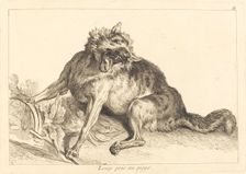 Loup pris au piege (Wolf Caught in a Trap). Creator: Jacques Philippe Le Bas