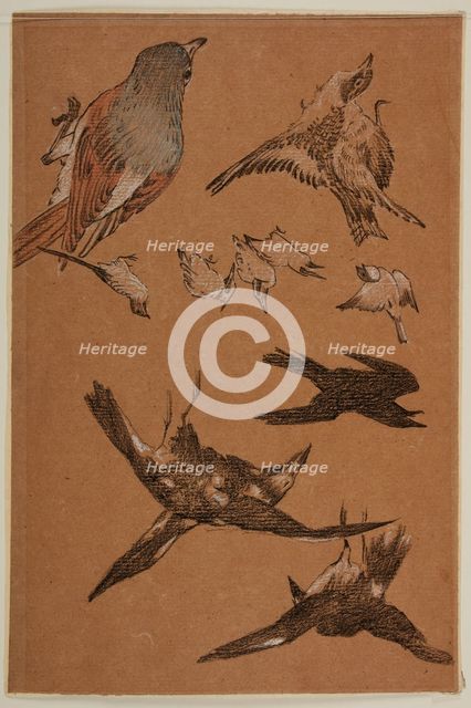 Love leading the Pilgrim - Study of Birds, Crows, Kingfishers, and Sparrows, 1877-97. Creator: Sir Edward Coley Burne-Jones.