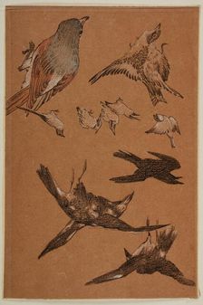 Love leading the Pilgrim - Study of Birds, Crows, Kingfishers, and Sparrows, 1877-97. Creator: Sir Edward Coley Burne-Jones