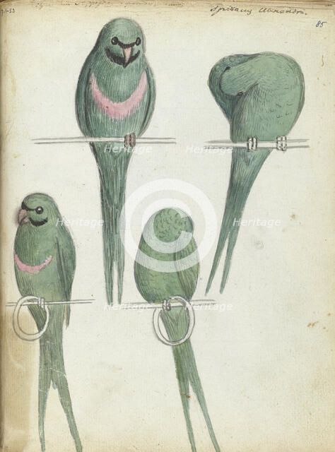 Lovebirds, 1785-1786. Creator: Jan Brandes.