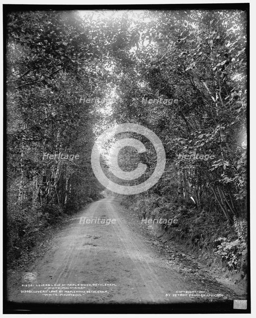 Lover's [sic] Lane at Maplewood, Bethlehem, White Mountains, c1901. Creator: Unknown.