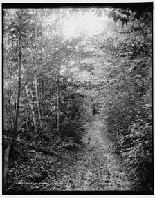 Lovers lane at Ne-ah-ta-wan-ta, between 1890 and 1901. Creator: Unknown