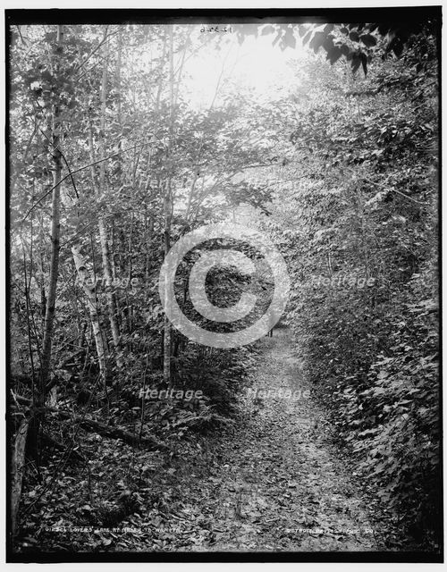 Lovers lane at Ne-ah-ta-wan-ta, between 1890 and 1901. Creator: Unknown.