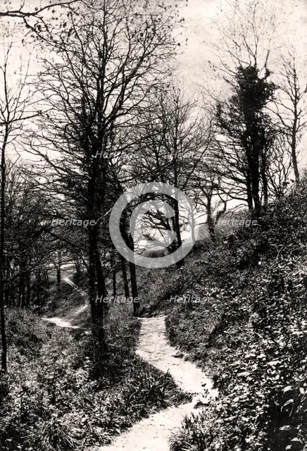 Lovers Lane, Fairlight, Hastings, Sussex. Artist: Unknown