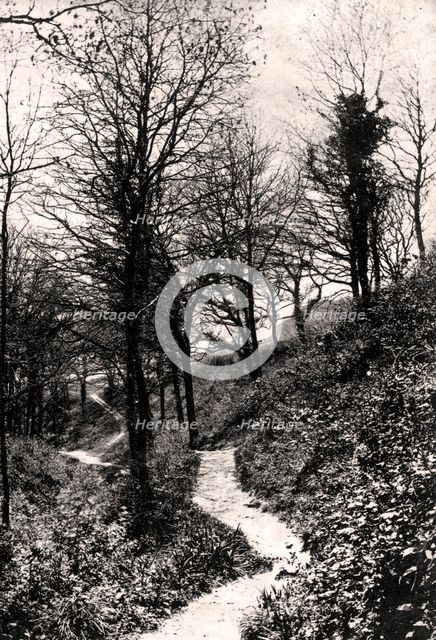 Lovers Lane, Fairlight, Hastings, Sussex. Artist: Unknown