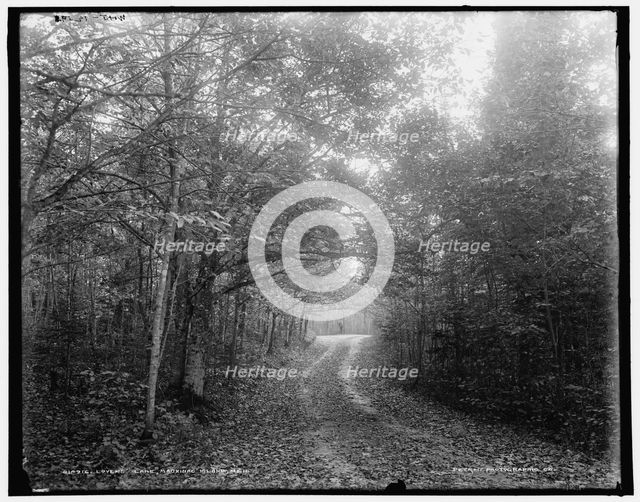 Lovers' Lane, Mackinac Island, Mich., (1902?). Creator: William H. Jackson.
