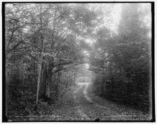 Lovers Lane, Mackinac Island, Mich., (1902?). Creator: William H. Jackson