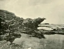 Low Tide, Shelly Beach, Warrnambool 1901. Creator: Unknown