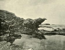 Low Tide, Shelly Beach, Warrnambool 1901. Creator: Unknown