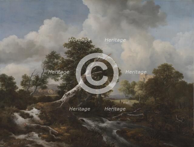 Low Waterfall in a Wooded Landscape with a Dead Beech Tree, c. 1660-1670. Creator: Jacob van Ruisdael (Dutch, 1628/29-1682).