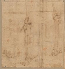 Lower Half of Skeleton from the Back, early 1540s. Creator: Battista Franco (Italian, c. 1510-1561)