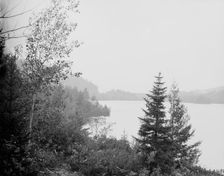 Lower Loon Lake, Adirondack Mts., N.Y., between 1900 and 1910. Creator: Unknown