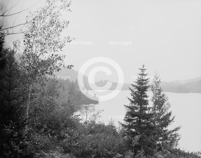 Lower Loon Lake, Adirondack Mts., N.Y., between 1900 and 1910. Creator: Unknown.