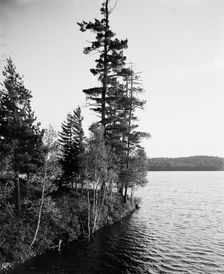 Lower St. Regis Lake, Adirondack Mts., N.Y., between 1900 and 1905. Creator: Unknown