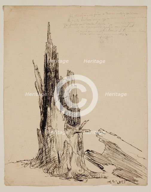 Lower Part of a Tree "Recently Fallen", 1825. Creator: Thomas Cole.
