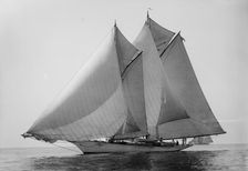 Loyal, 1894 Aug 11. Creator: John S Johnston