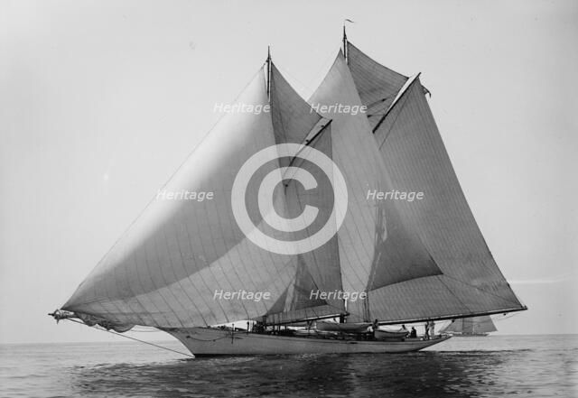 Loyal, 1894 Aug 11. Creator: John S Johnston.