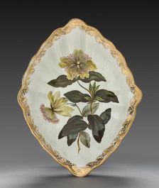 Lozenge Shaped Dish from Dessert Service: Large Flowered St. John's Wort, c. 1800. Creator: Derby (Crown Derby Period) (British)