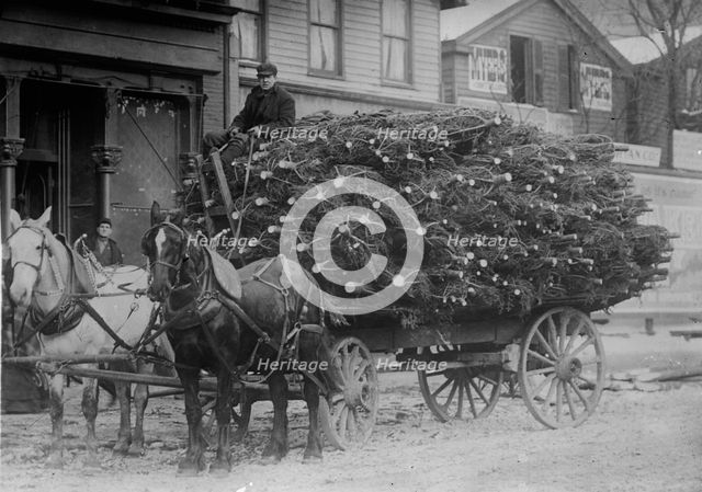 Load of Xmas trees, N.Y., between c1910 and c1915. Creator: Bain News Service.