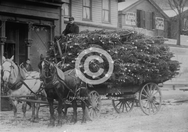 Load of Xmas trees, N.Y., between c1910 and c1915. Creator: Bain News Service.