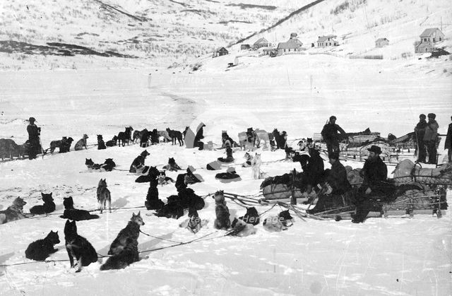 Loaded dog sleds on Petropavlovsk-Kamchatsky Square, 1910-1929. Creator: Ivan Emelianovich Larin.